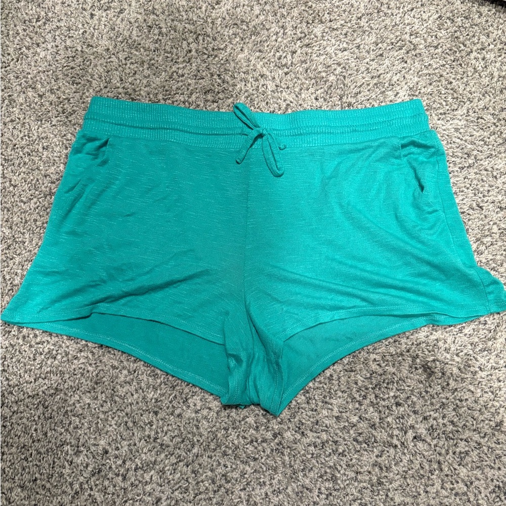 Torrid Seafoam Sleep Shorts Size 2